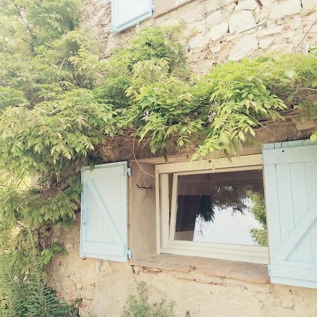 Bastide Provencale Les Muriers D'Engaspaty Seillans Esterno foto