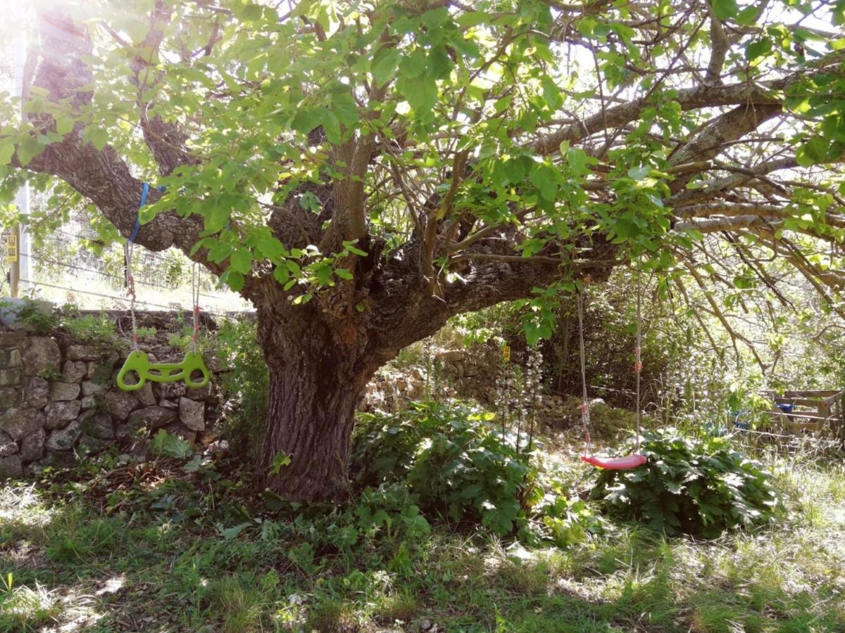 Bastide Provencale Les Muriers D'Engaspaty Seillans Esterno foto